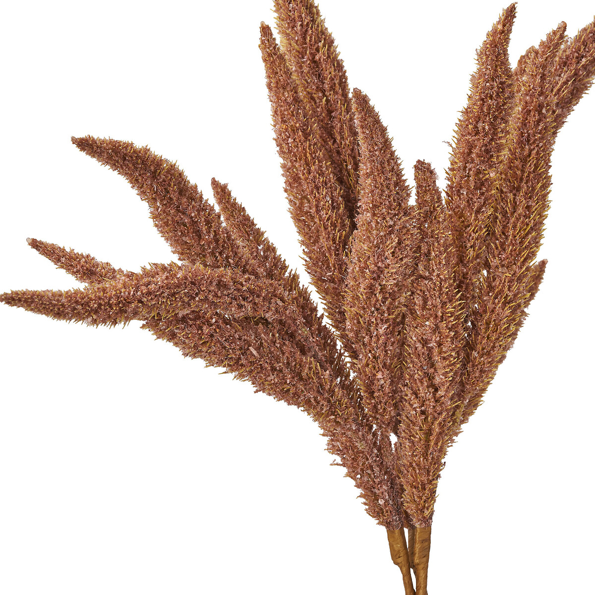 Set of 6 63cm Mulberry Brown Foxtail Hand-Tied 3 Stem Bundles brown              , ÉDITÉ