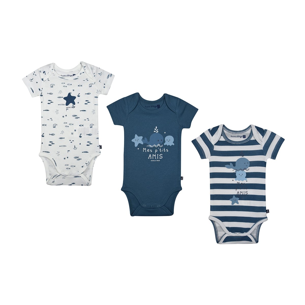 Lot de 3 bodies lirone manches courtes bebe bleu, SUCRE D'ORGE