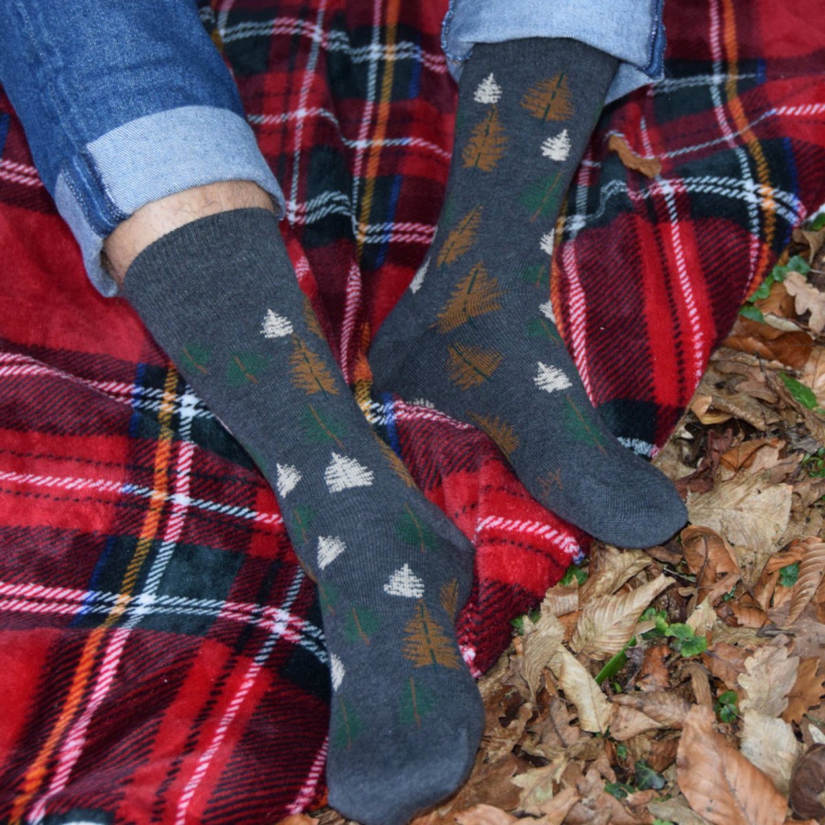 Mi-chaussettes Homme jersey fantaisie forêt en coton anthracite, KINDY