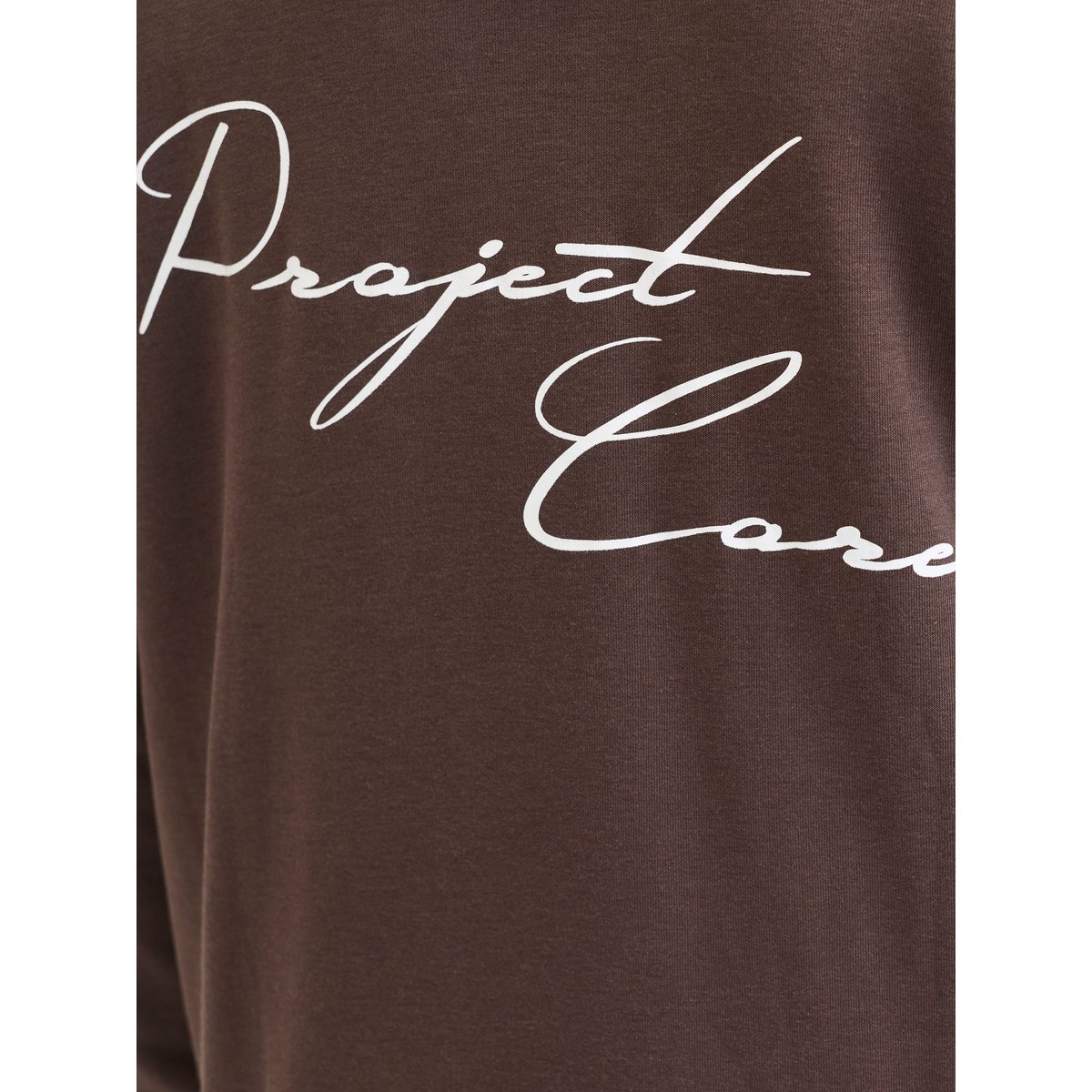 Sweat À Capuche seal brown, JACK & JONES
