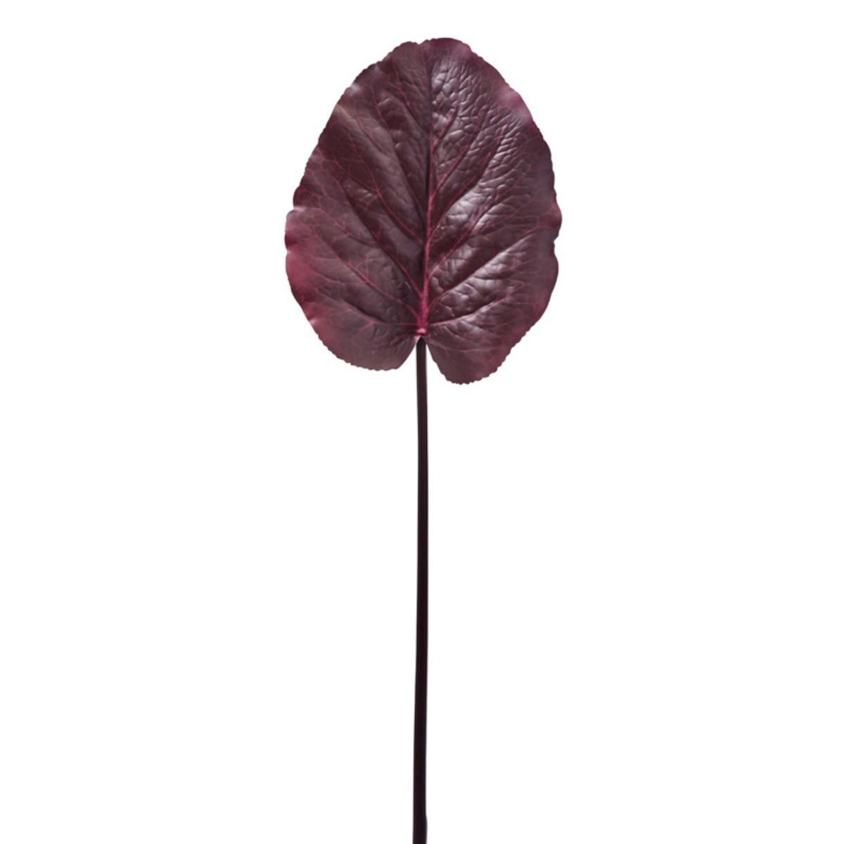 Feuille de galax artificielle H85 bordeaux, SIA DECO