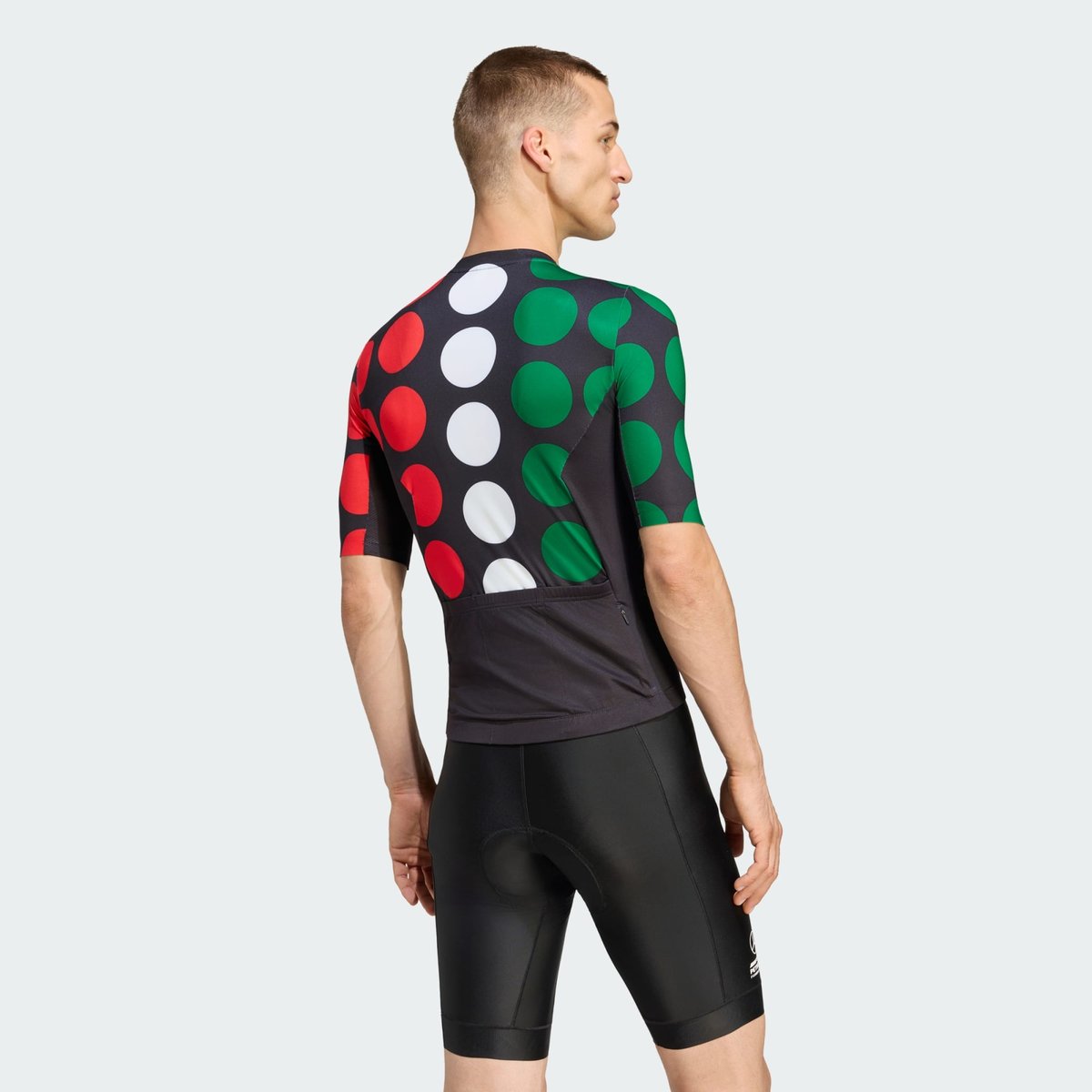 Maillot De Cyclisme Mercedes - Amg Petronas Formula 1® Team Imola Maillot De Cyclisme Mercedes - Amg Petronas Formula 1® Team Imola black / green / white / red, adidas Performance