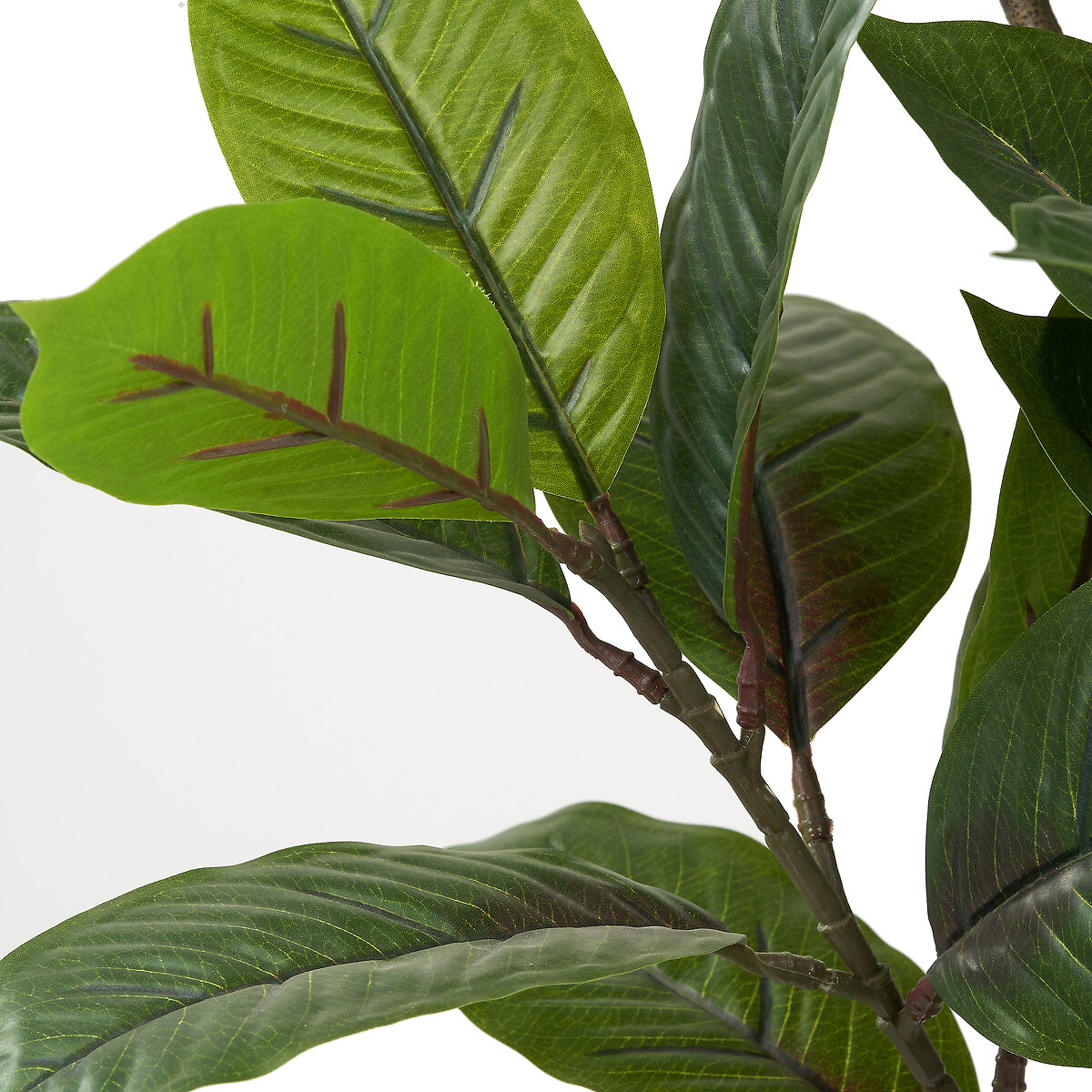 130cm Magnolia Tree in Pot green/grey, ÉDITÉ