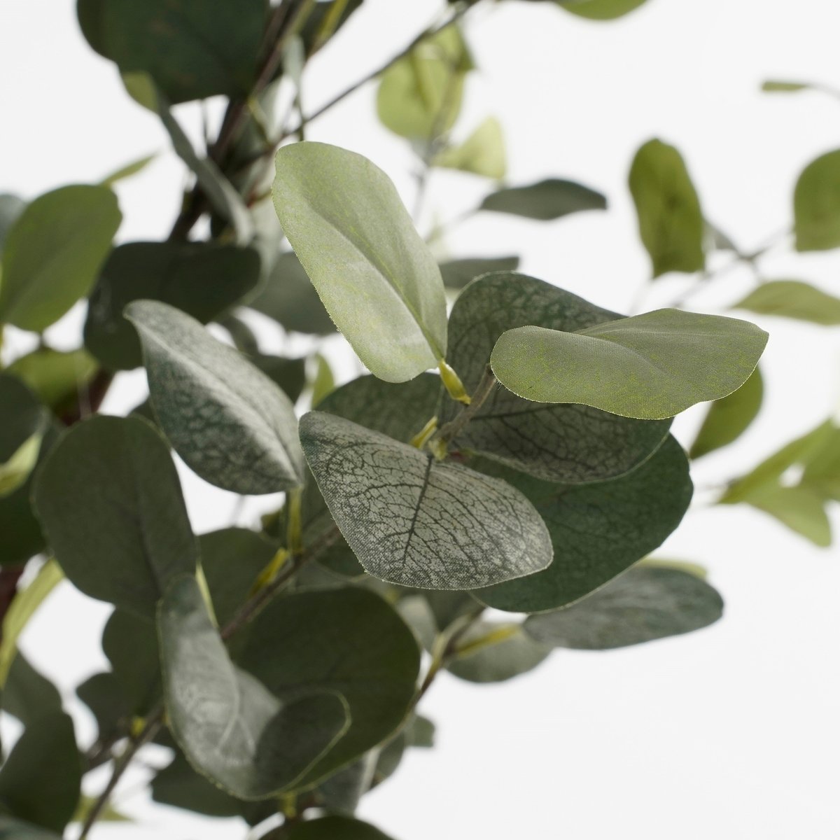 Plante artificielle EUCALYPTUS vert, MICA DECORATIONS