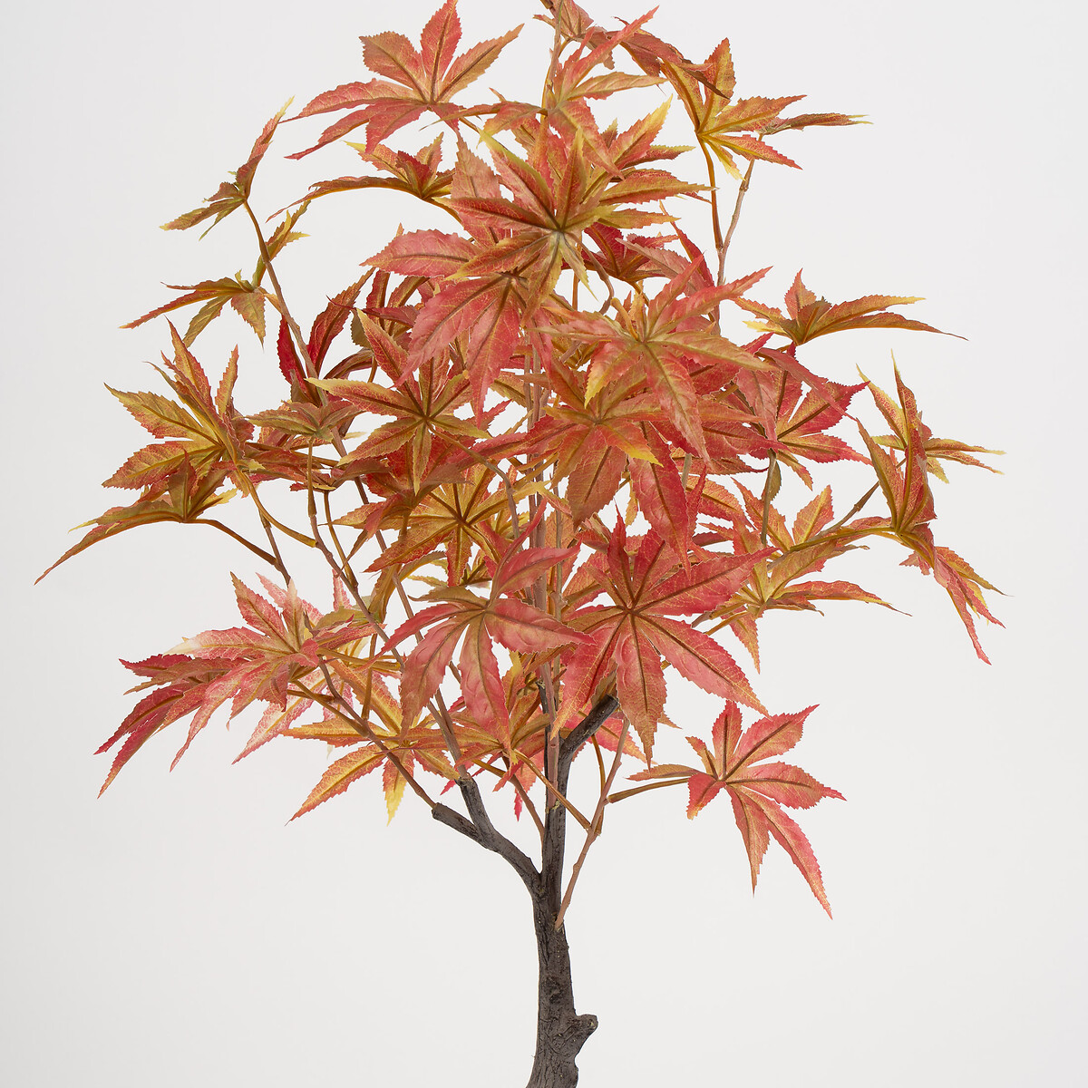 90cm Red Acer Tree red, SO'HOME