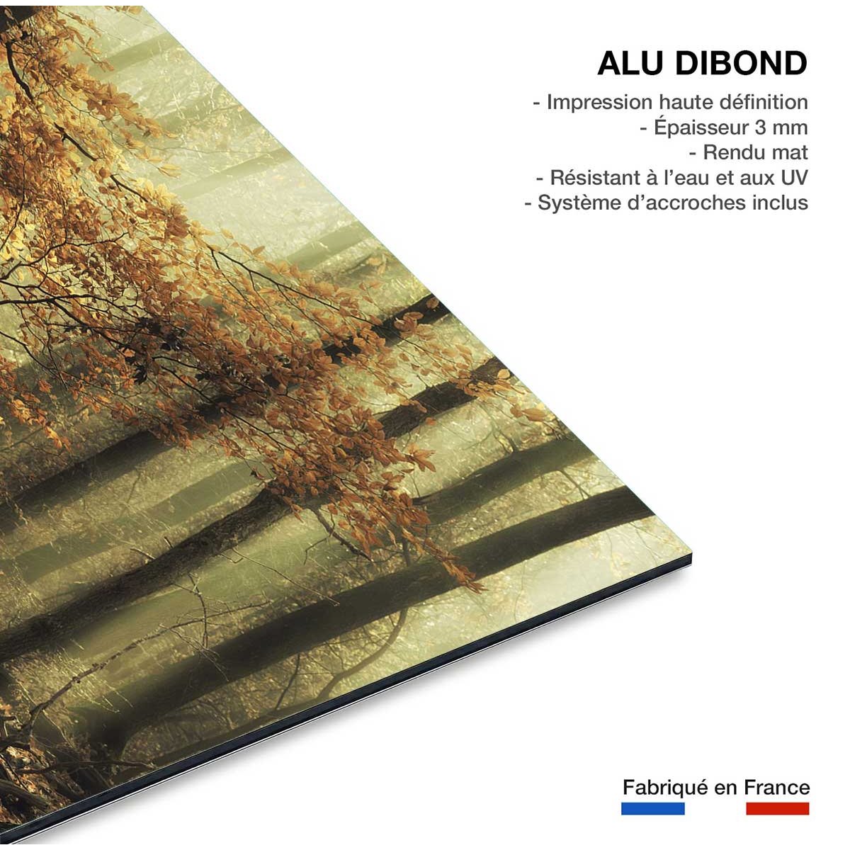 Tableau Feuilles d'automne tableau alu dibond, HEXOA