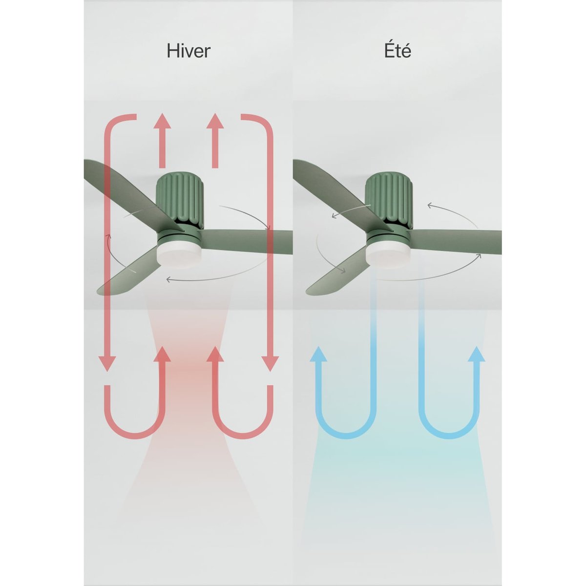 Ventilateur de plafond 40 W avec lumière et télécommande WIND CALM SCULPT sauge/sauge, CREATE