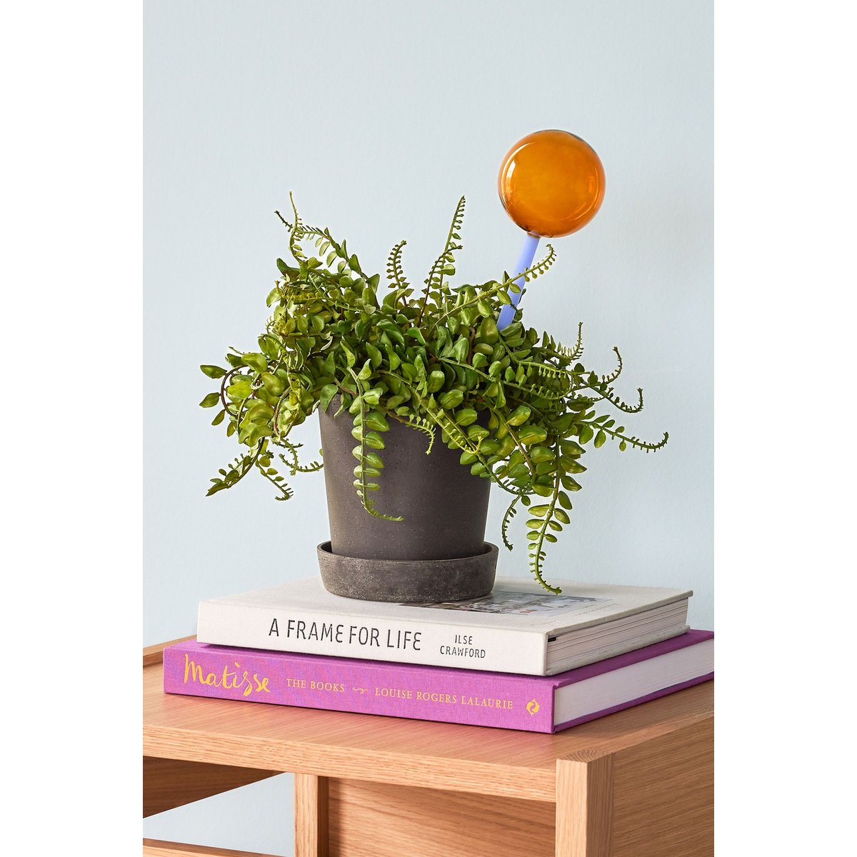 Globe d'arrosage en verre FLORA ambre/bleu, HUBSCH