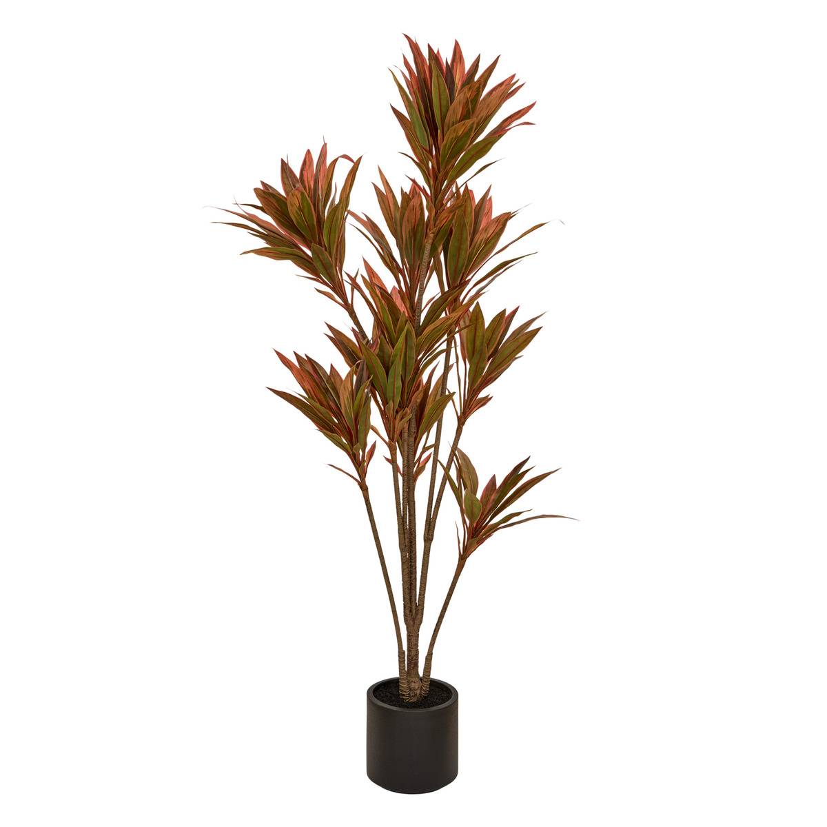 Dracena artificiel EDI rouge, ATMOSPHERA