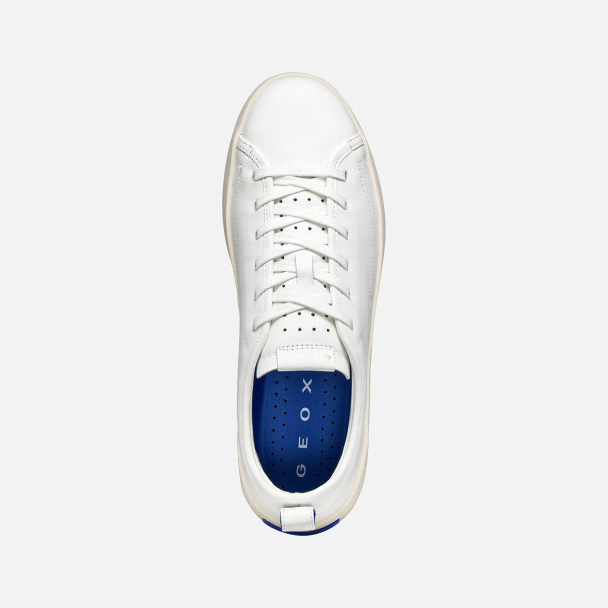 Femme U GXCP-01 blanc, GEOX