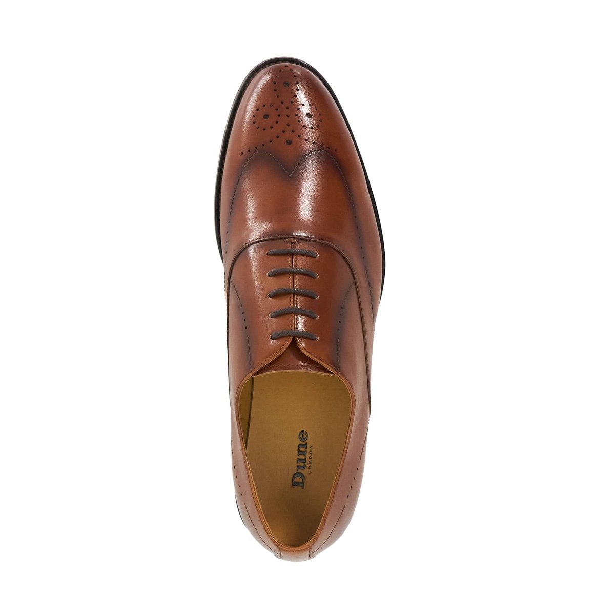 Chaussures Richelieu en cuir à lacets - SHAAY tan-leather, DUNE LONDON