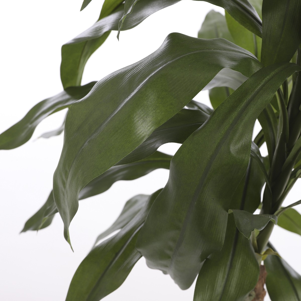 Plante artificielle DRACAENA vert, MICA DECORATIONS
