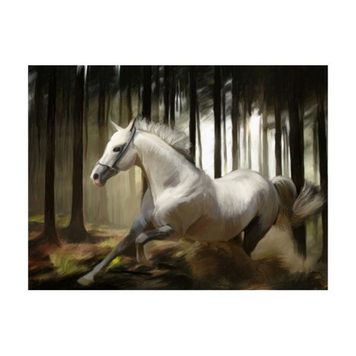 Papier peint intissé panoramique Animaux La course du cheval blanc gris / argent, EDEN