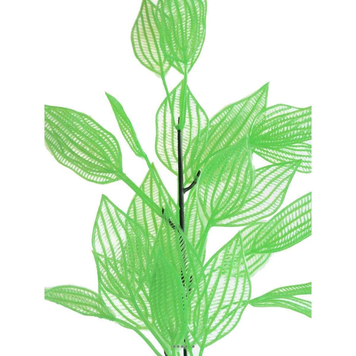 Branche de feuilles d'aponogeton fa vert été, ARTIFICIELLES