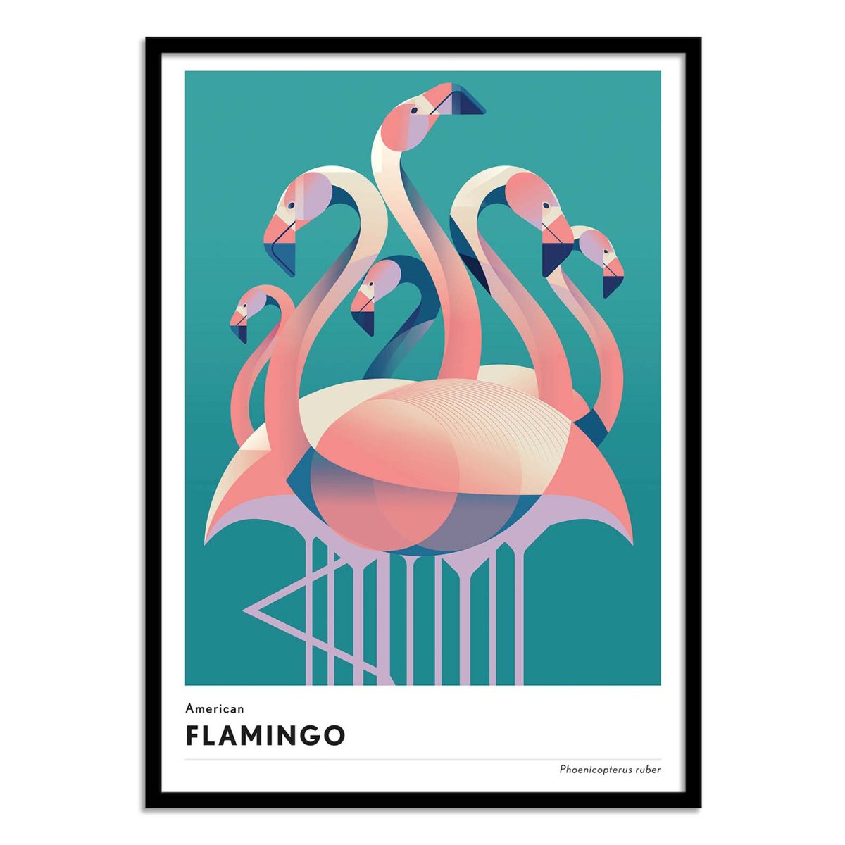 Affiche d'art - American flamingo - Mark Harrison couleur unique, WALL EDITIONS