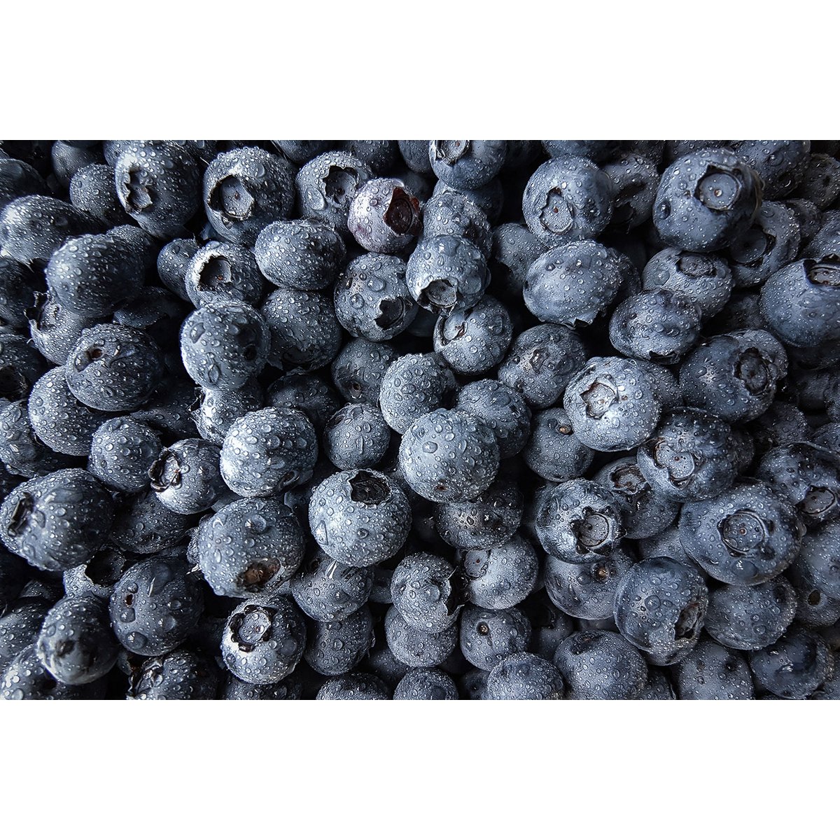Tableau fruit cure de cassis tableau alu dibond, HEXOA