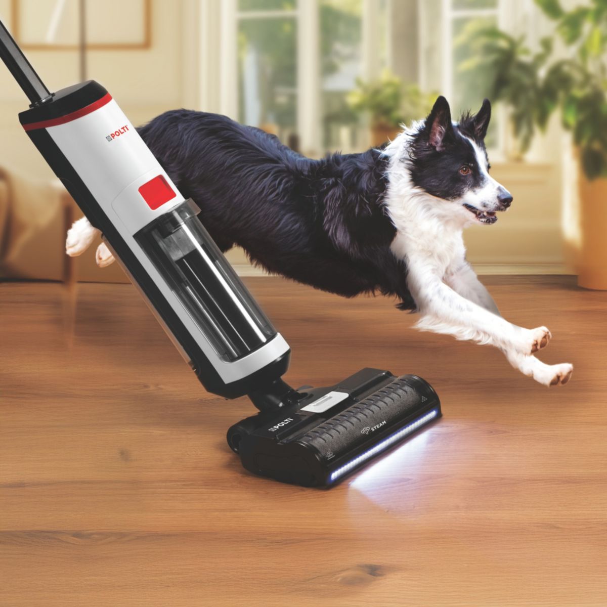 Aspirateur laveur RollySteam WD10 filaire avec fonction vapeur couleur unique, POLTI
