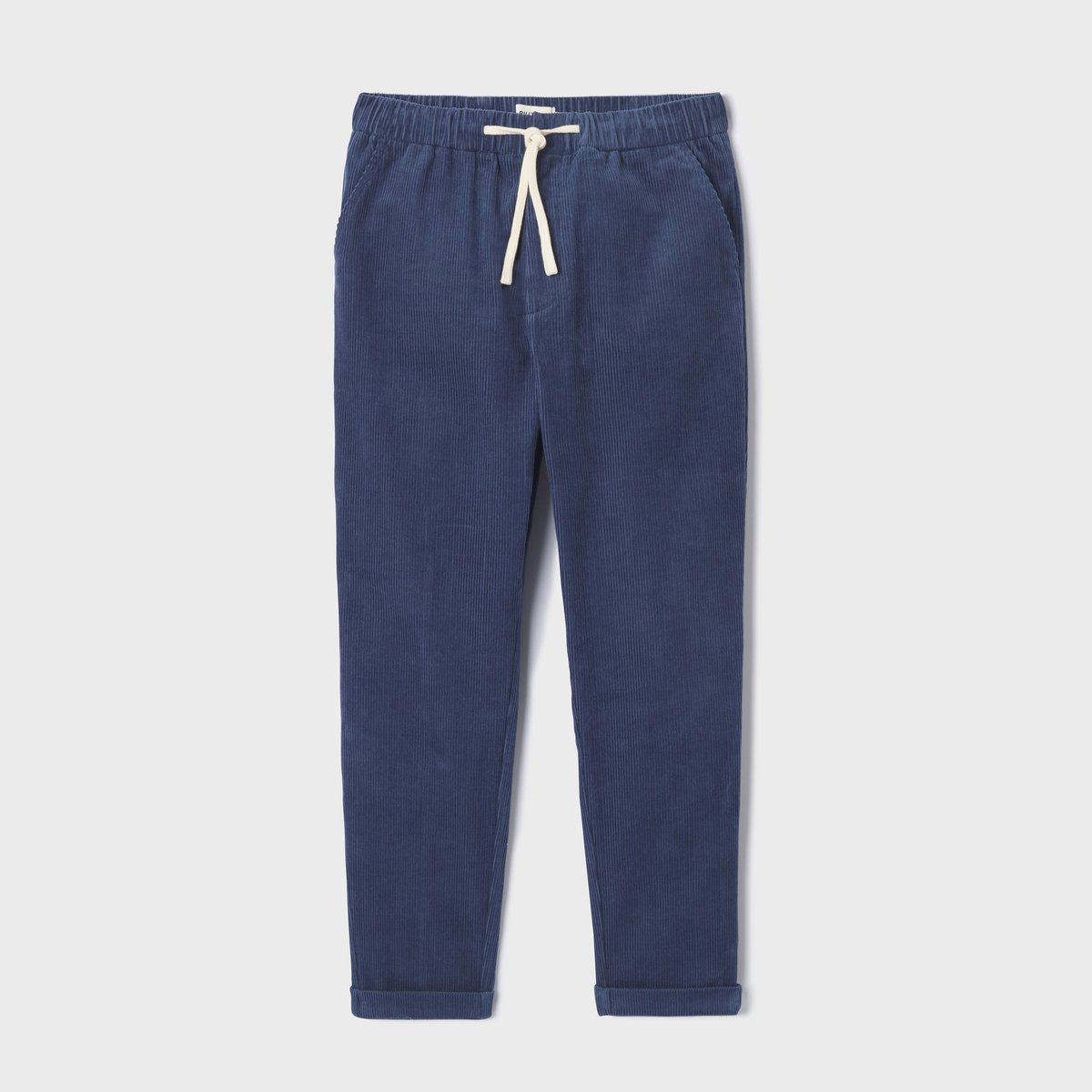 Pantalon en VELOURS bleu, BILLYBELT