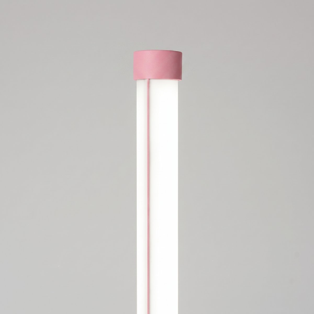 Lampadaire Rose LED 1 Trang rose, EDEN