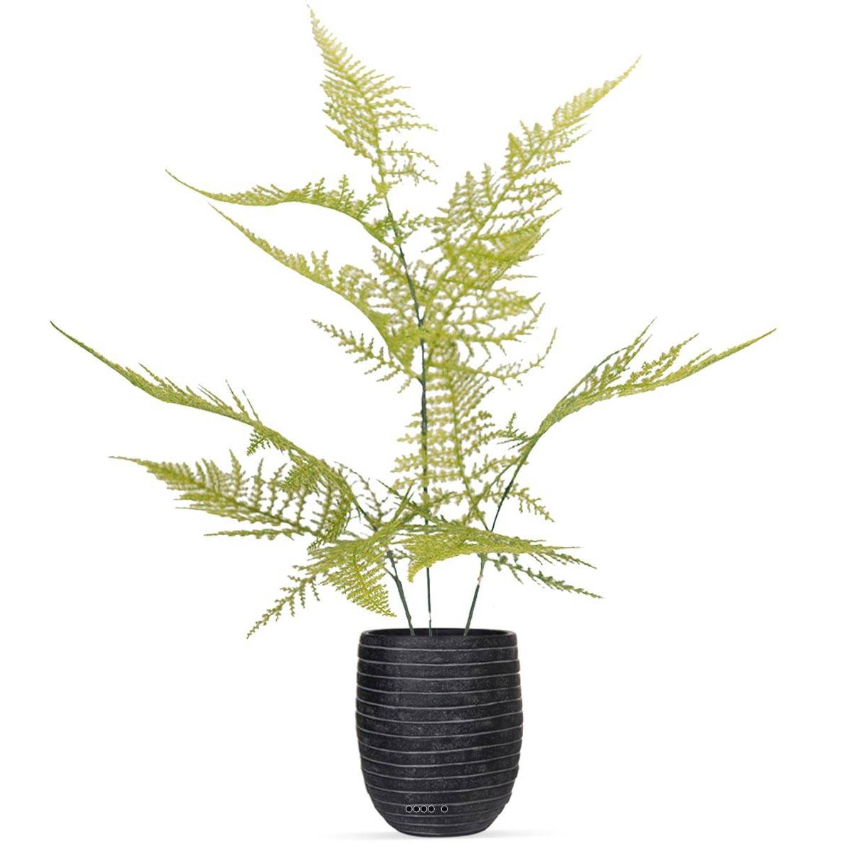 Asparagus Plumosus plante verte factice en p v002239, ARTIFICIELLES