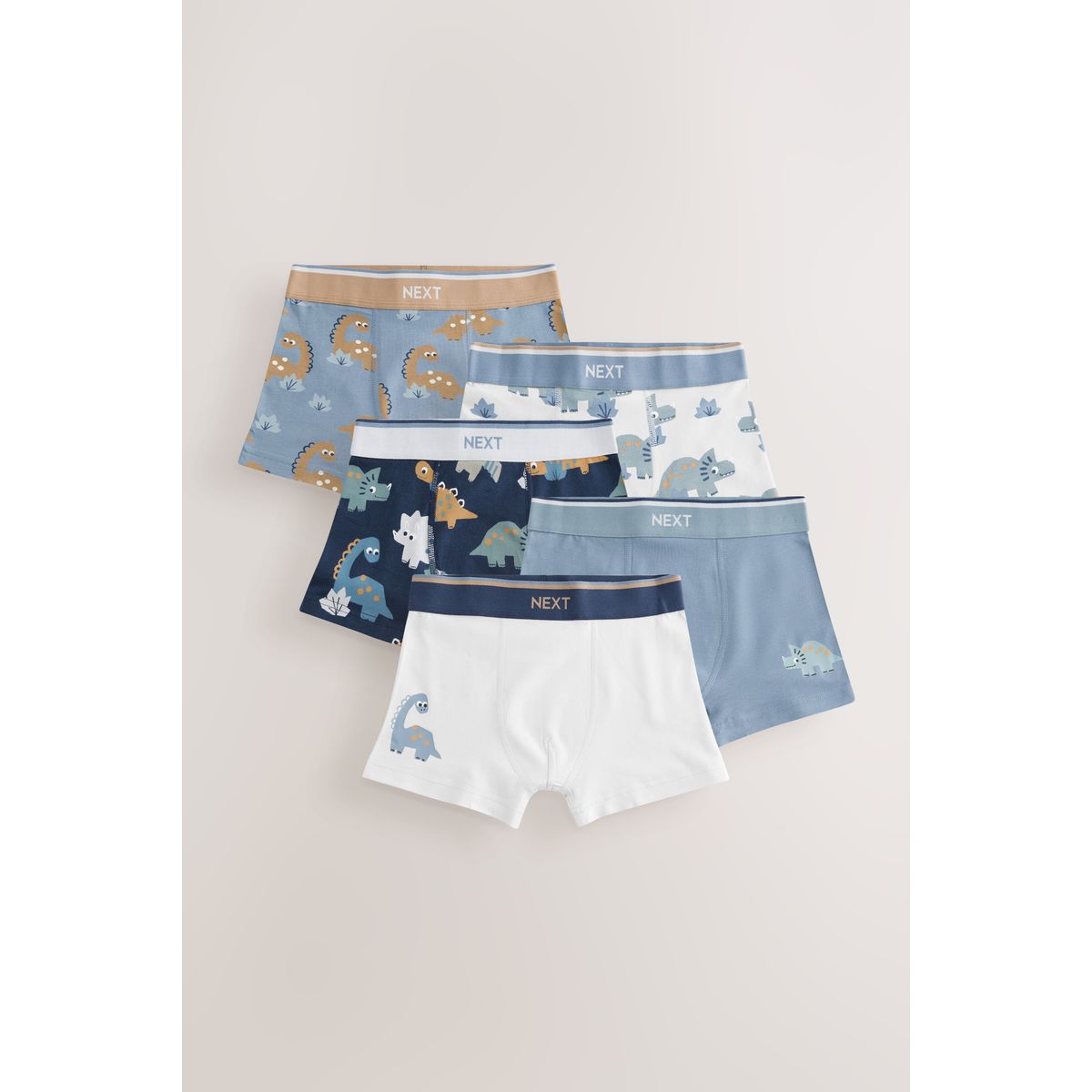 Boxer, lot de 5 dino bleu/marron, NEXT