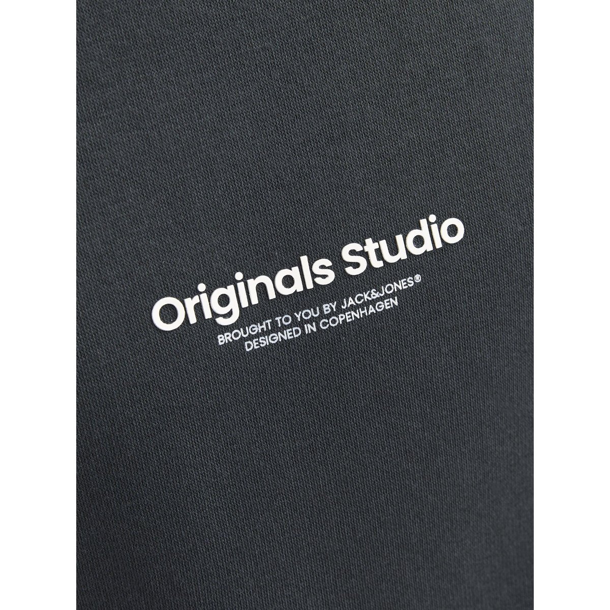 Sweat-Shirt grise - forest river, JACK & JONES JUNIOR