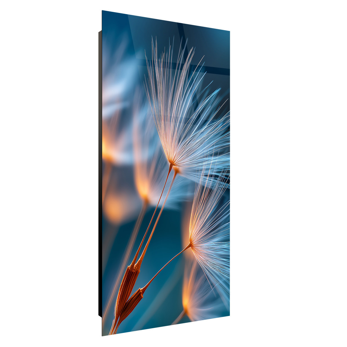 Tableau Sur Verre Synthétique Lueur Végétale FLEUR tableau en verre synthétique, CEANOTHE