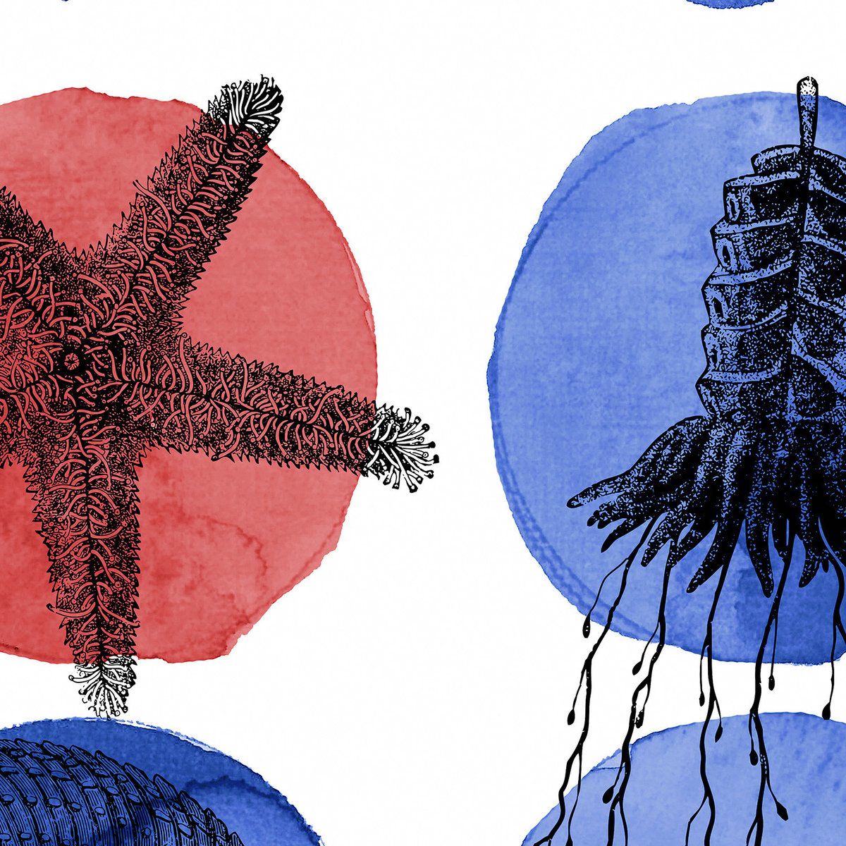 Papier peint panoramique SEA STAR XL bleu, LE PAPIERS DE NINON