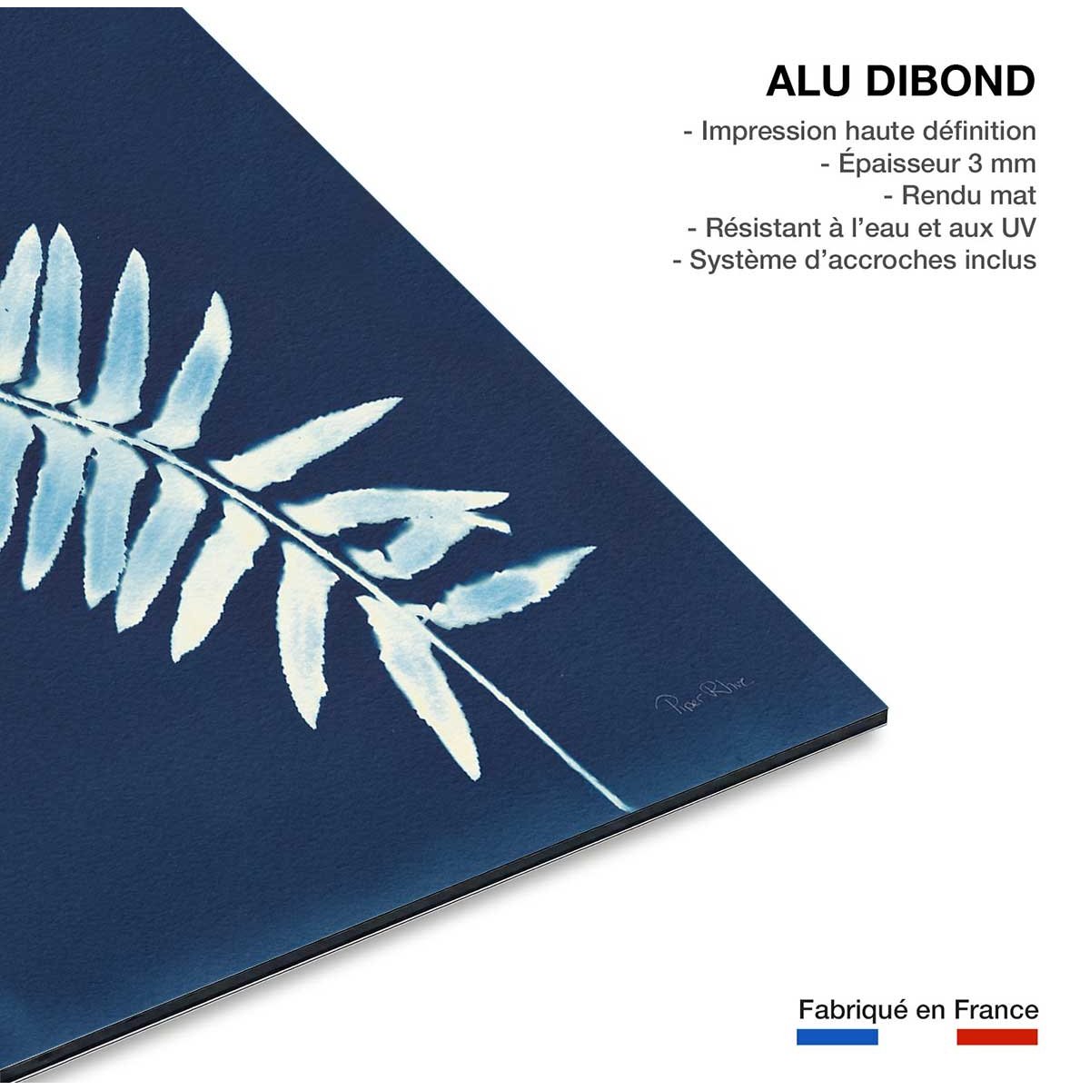 Tableau fleurs Fougère bleue tableau alu dibond, HEXOA