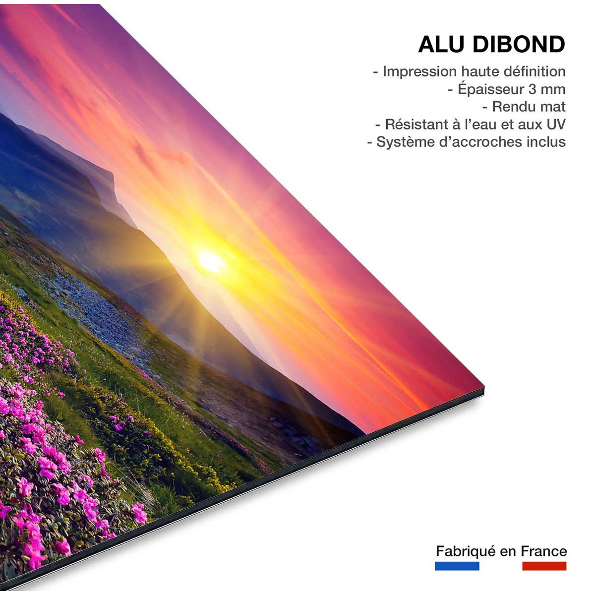 Tableau champ de fleurs tableau alu dibond, HEXOA