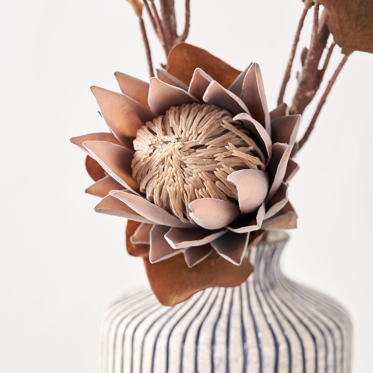 Set of 6 71cm Mulberry Brown Protea Stems brown , ÉDITÉ