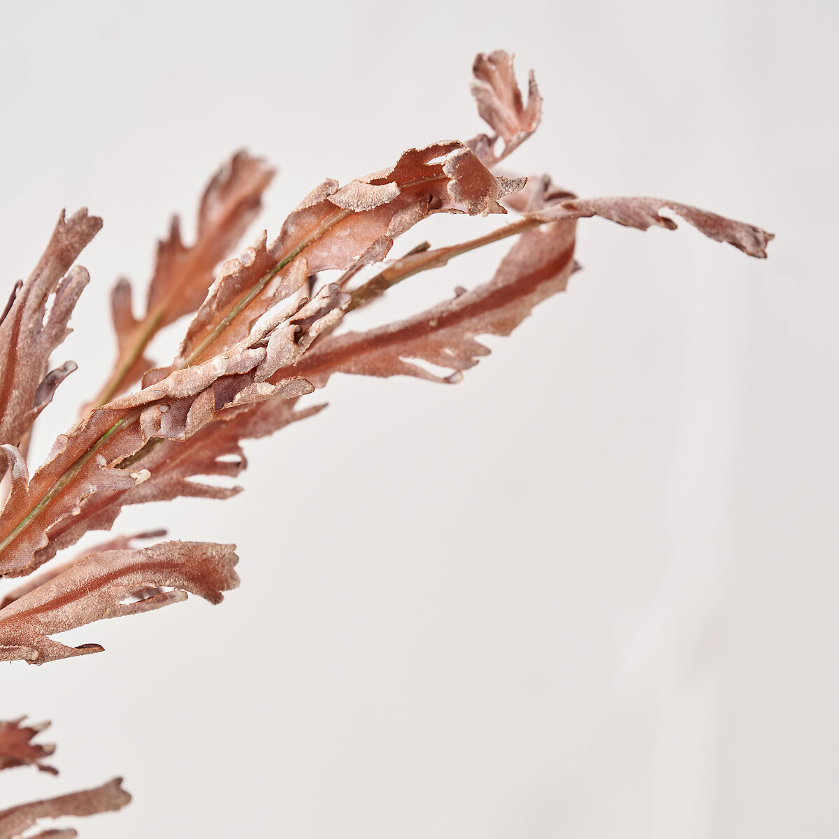 Set of 6 109cm Mulberry Brown Autumn Leaf Stems brown , ÉDITÉ