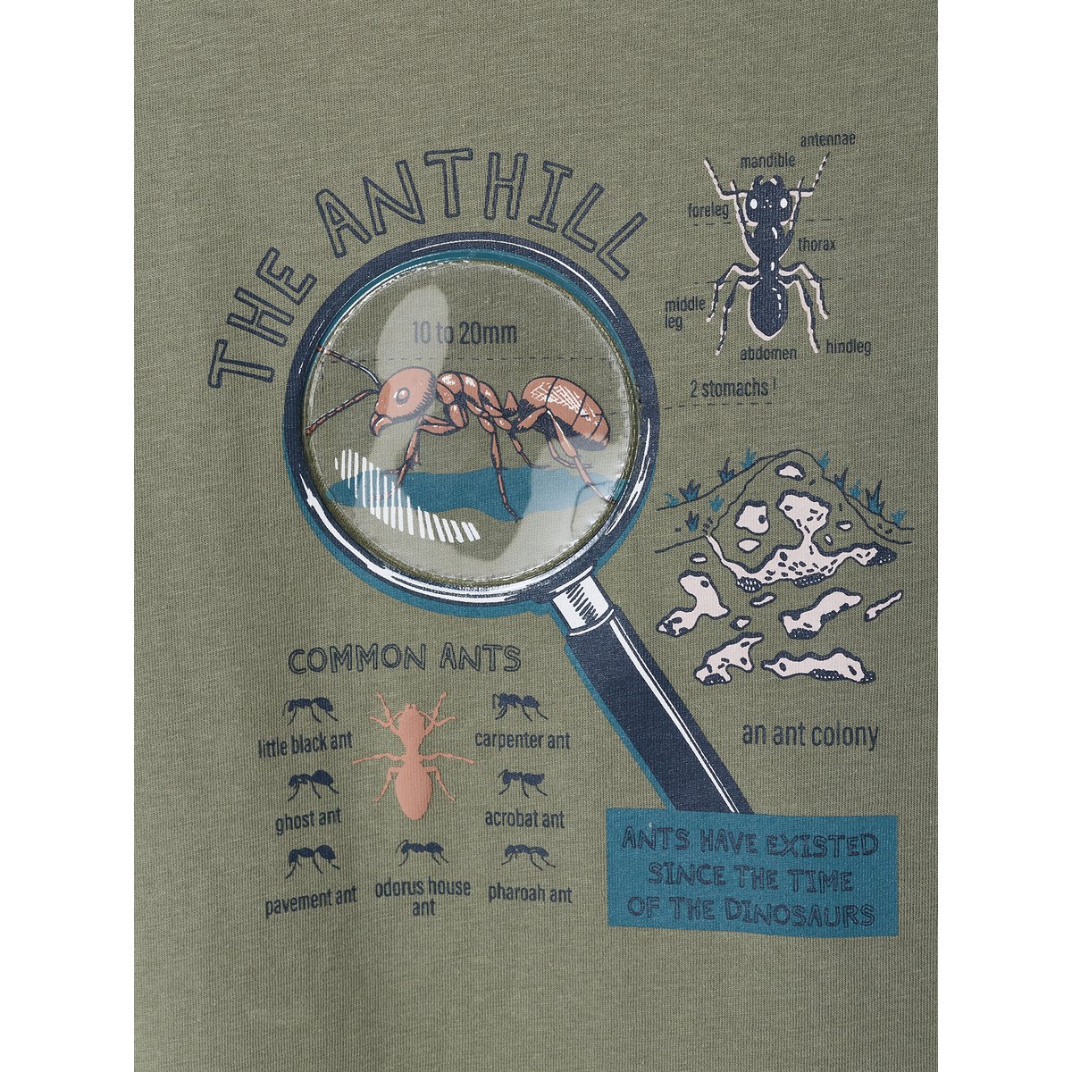 T-shirt manches courtes lichen, VERTBAUDET