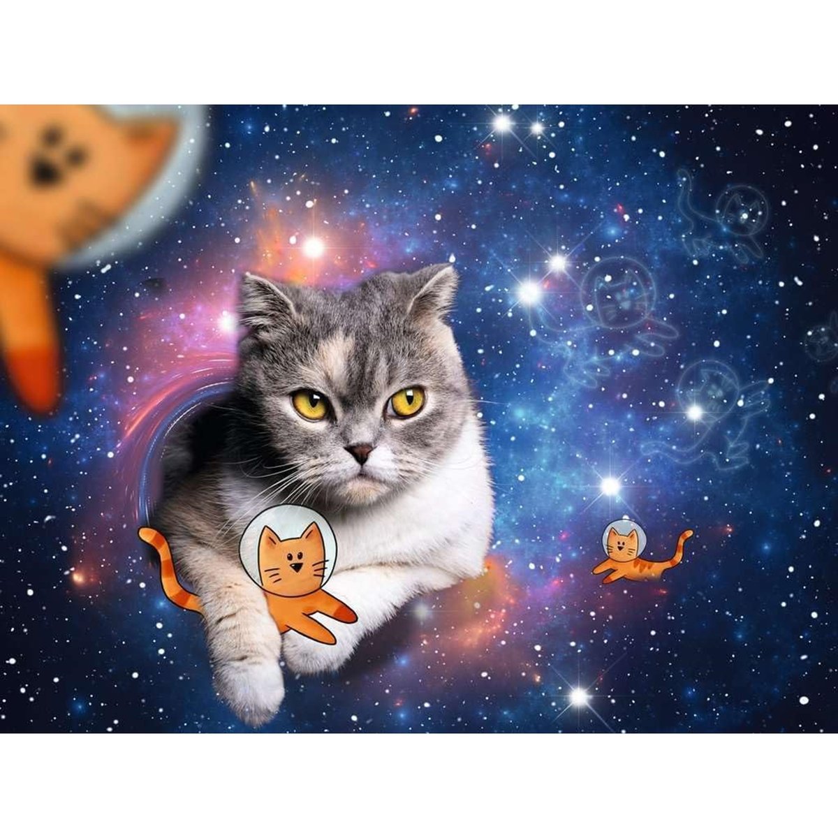 Puzzle - Chats volant dans l'espace multicolore, RAVENSBURGER