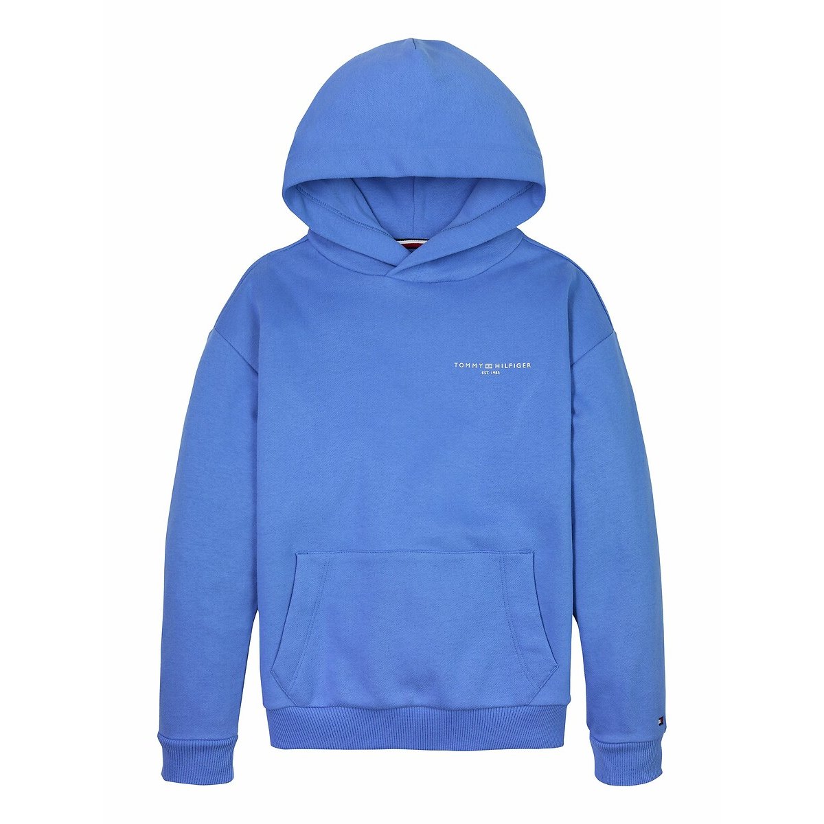 Hoodie in molton bleu, TOMMY HILFIGER