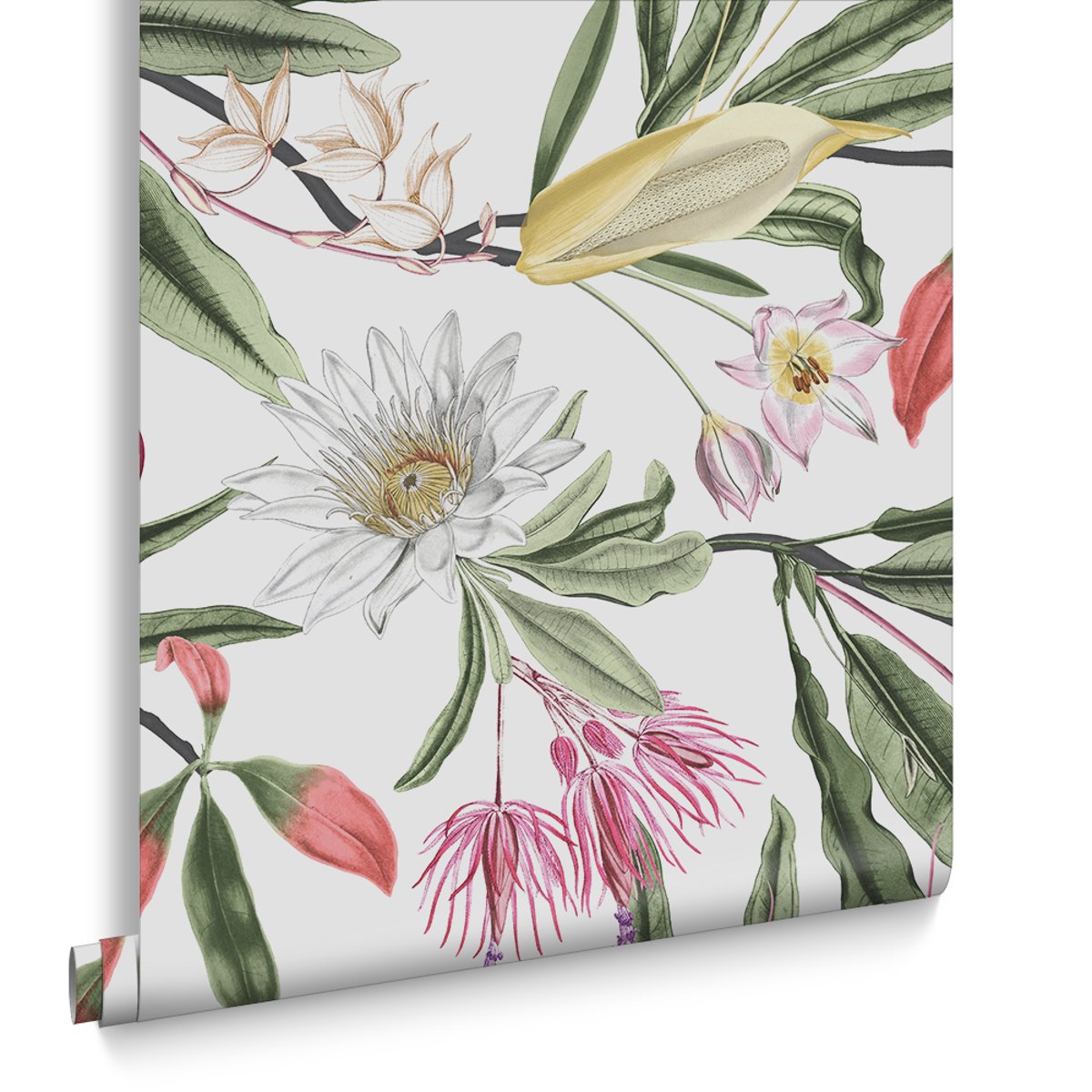 Papier peint Paradise Chalk vert, rose, blanc cassé, GRAHAM ET BROWN