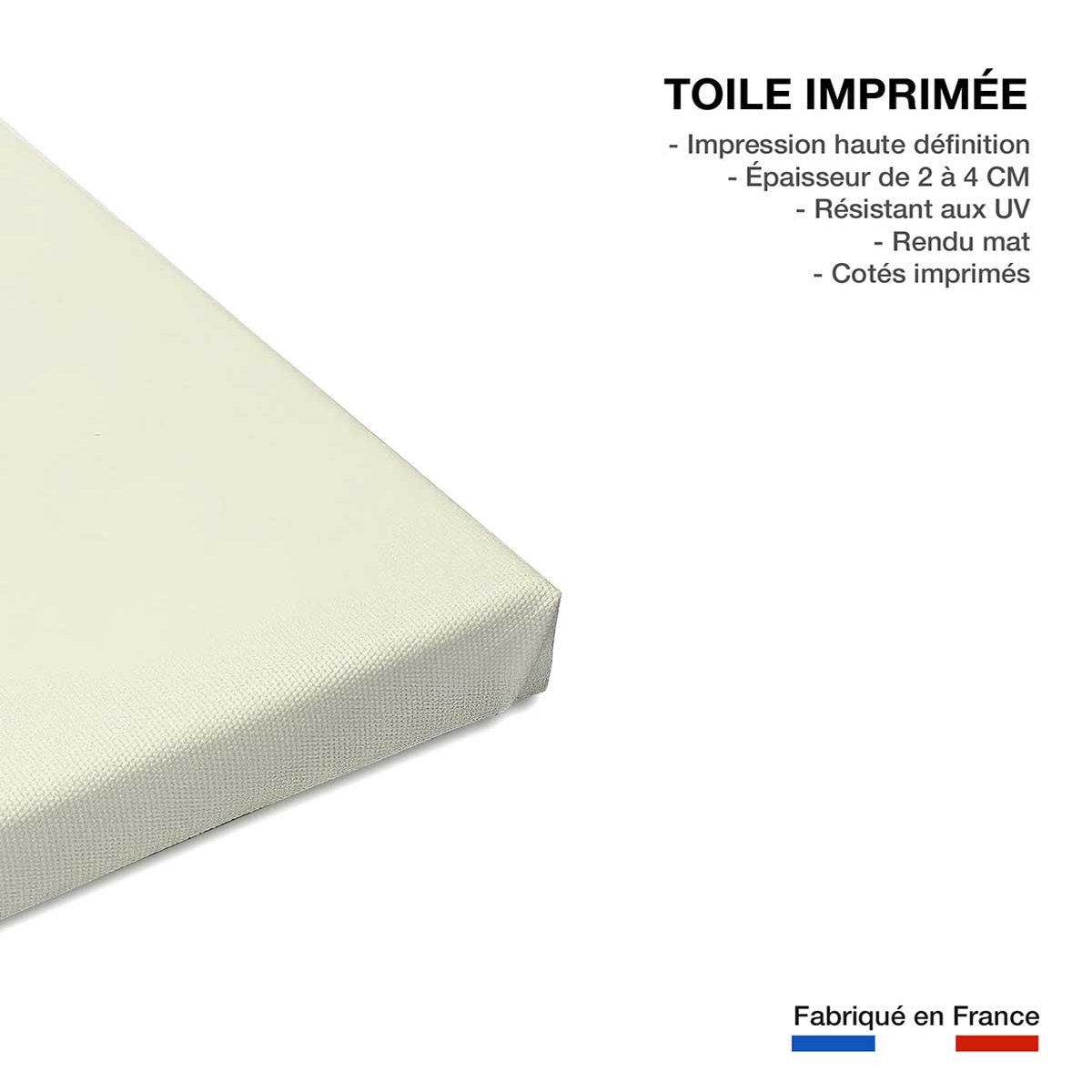 Tableau chauve souris toile imprimée, HEXOA
