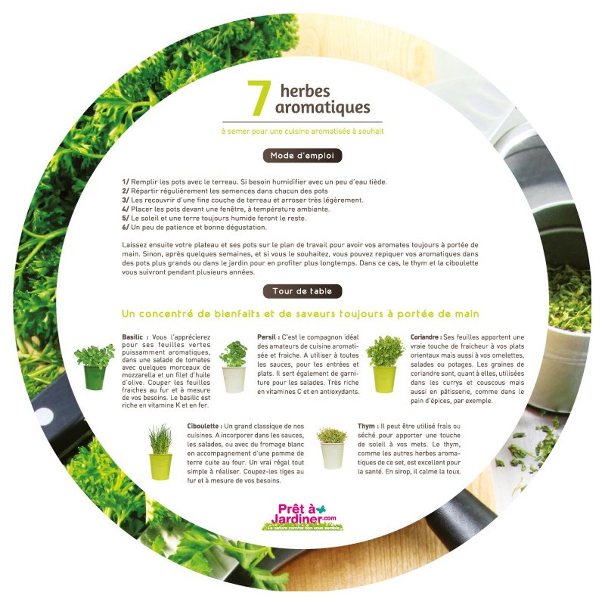 Plateau 7 herbes aromatiques couleur unique, FLOREX