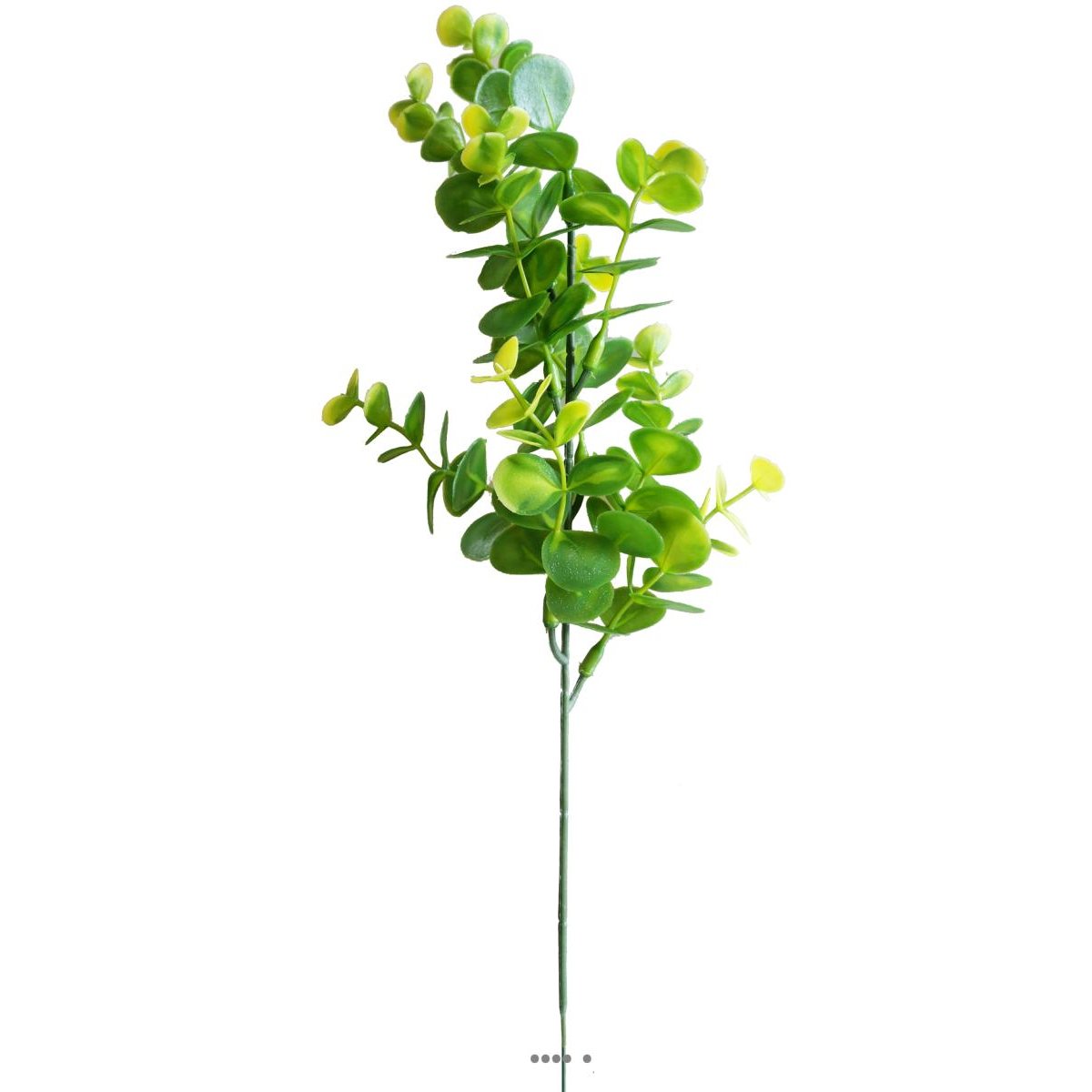 Pic Eucalyptus factice H36cm plastique ext vert-jaune, ARTIFICIELLES