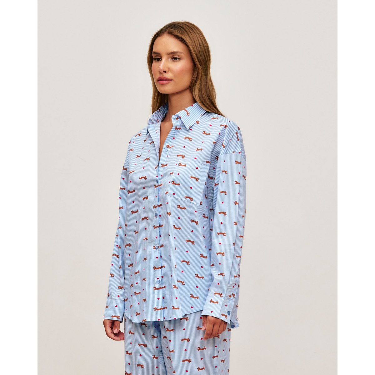 Chemise en popeline à imprimé rayures et teckels unisexe ACADEMIZ bleu ciel, UNDIZ