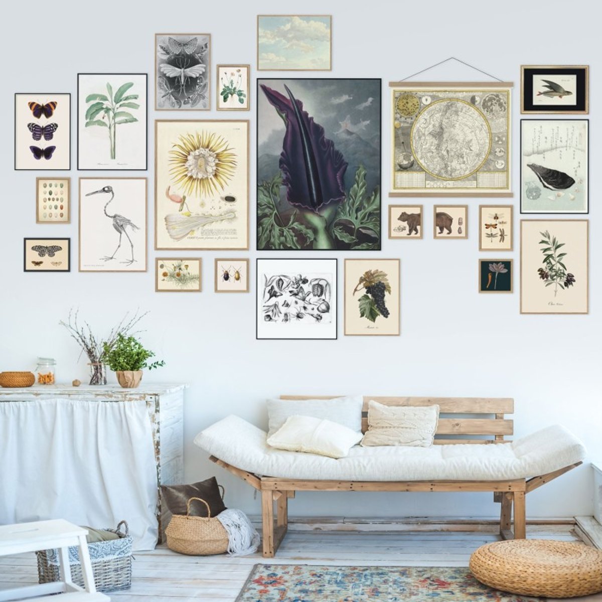 Affiche olivier Olive picholine multicolore, THE DYBDAHL CO
