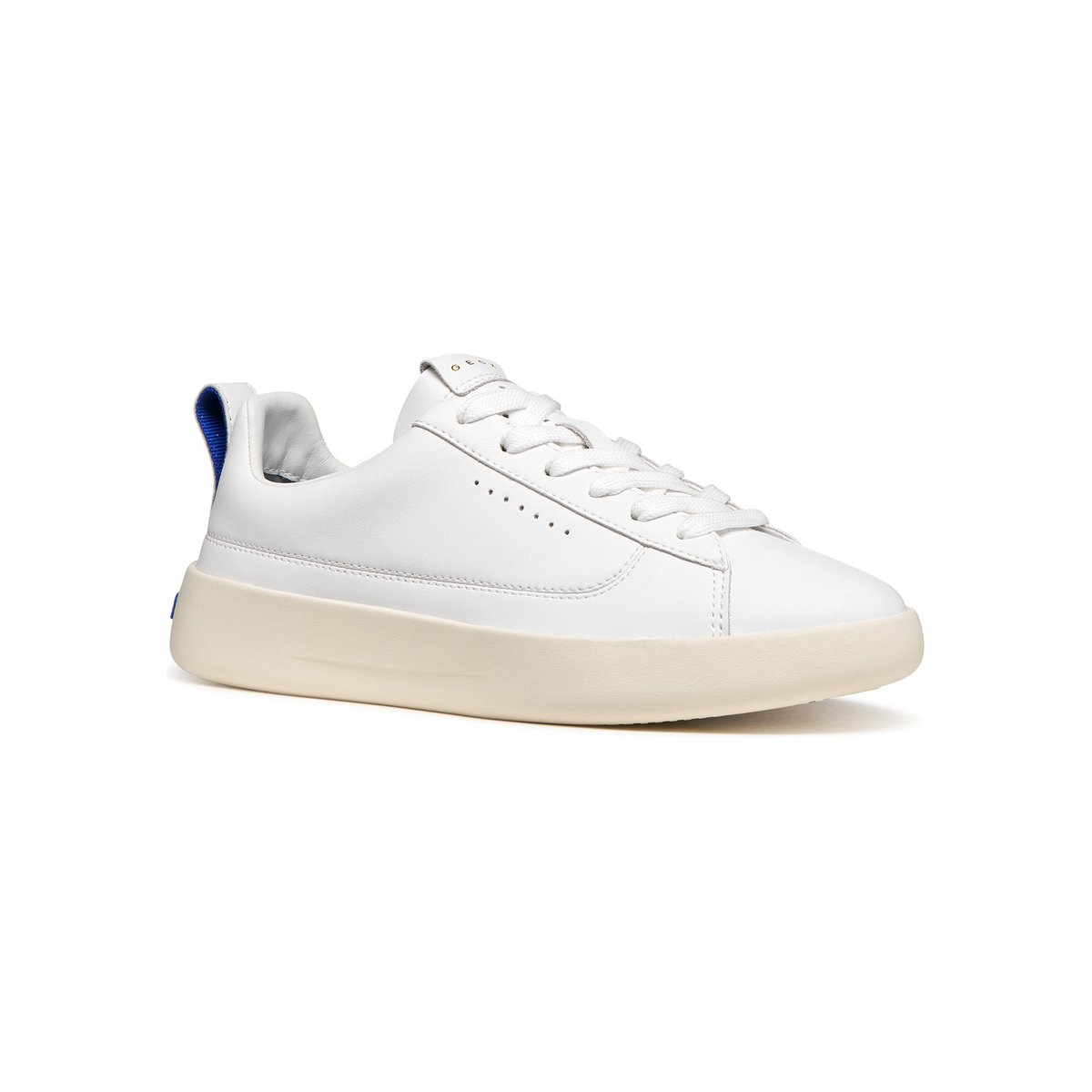 Baskets  D GXCP-01 blanc, GEOX