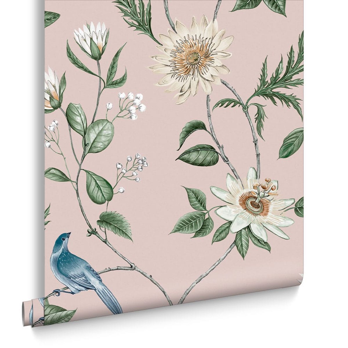 Papier peint Nuit Blush rose, GRAHAM ET BROWN