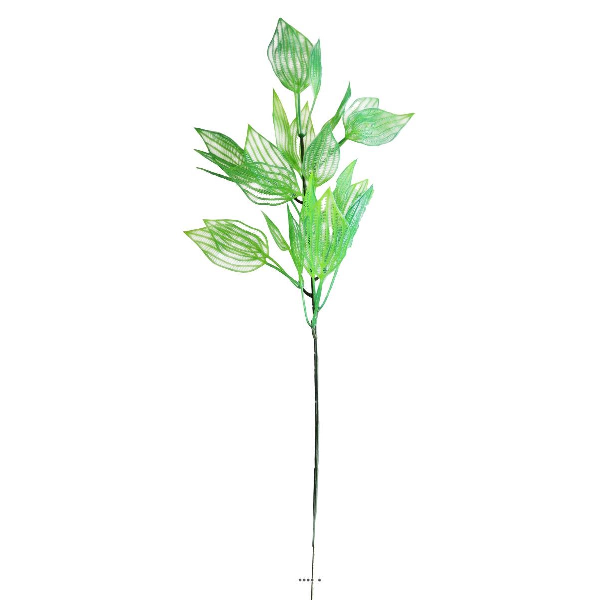 Branche de feuilles d'aponogeton fa vert été, ARTIFICIELLES