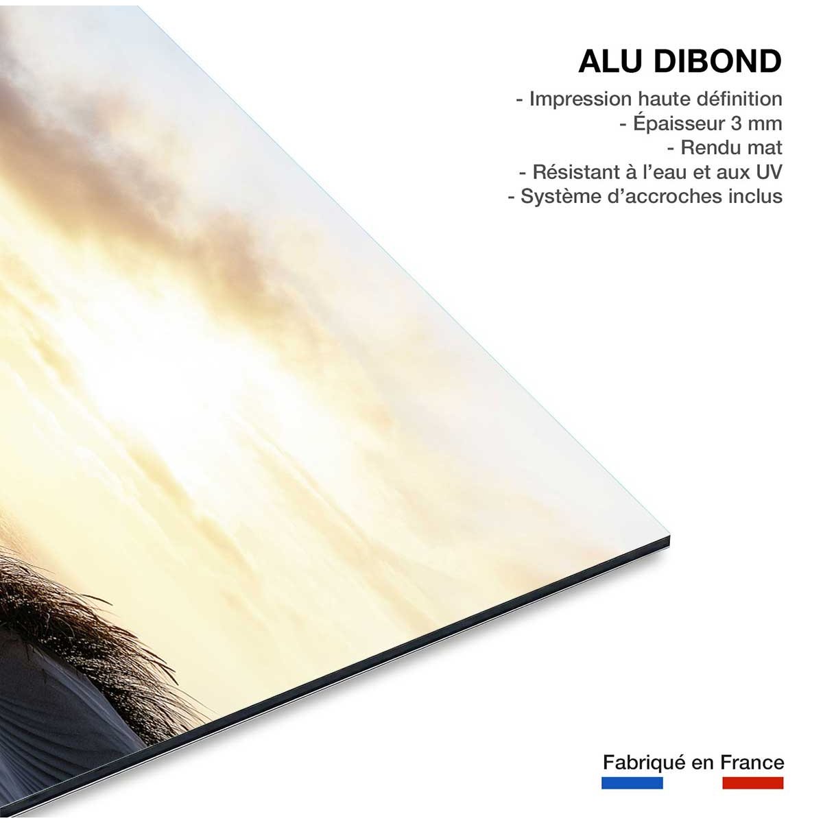 Tableau dune au vent tableau alu dibond, HEXOA