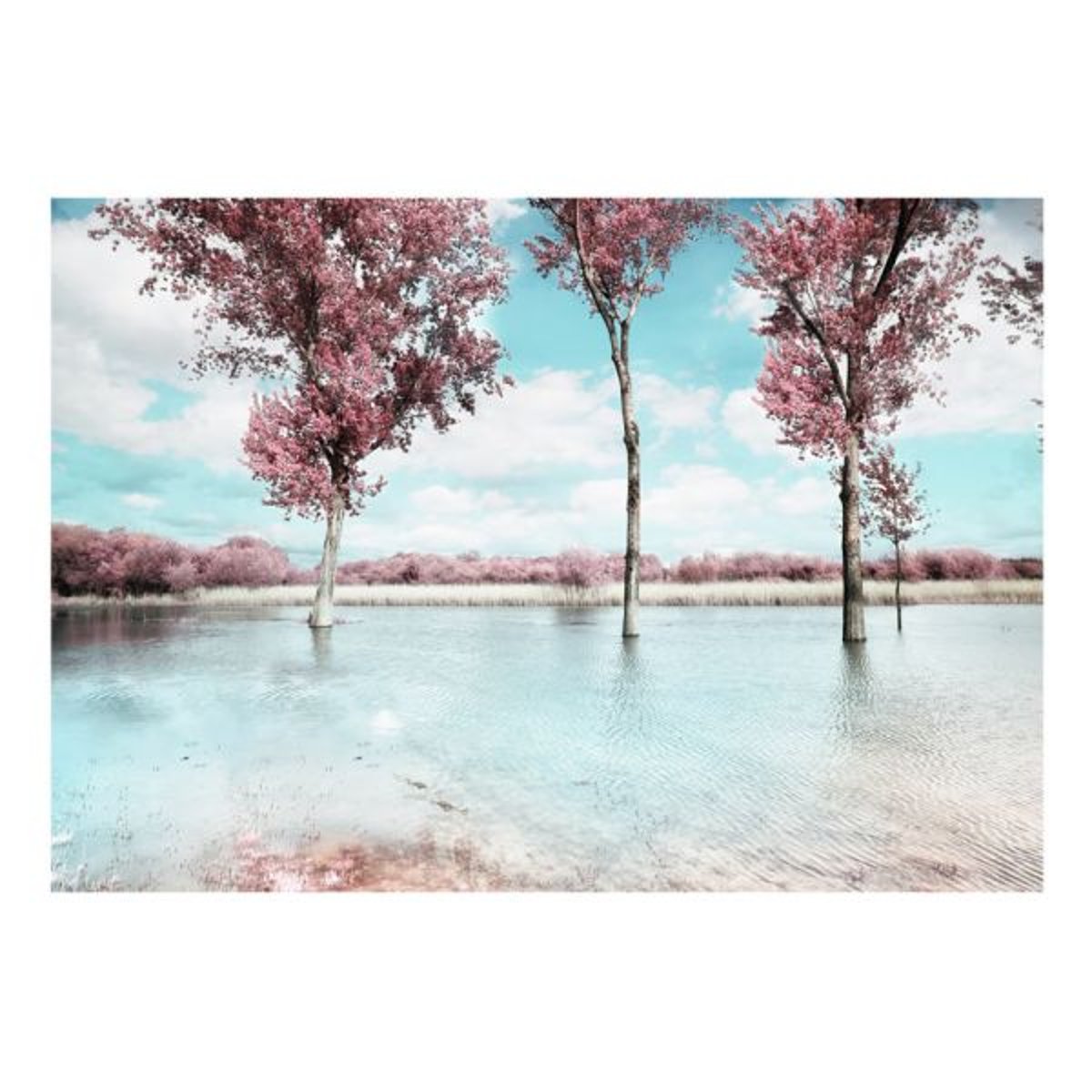 Papier peint intissé panoramique Paysage Autumn scenery blanc, EDEN