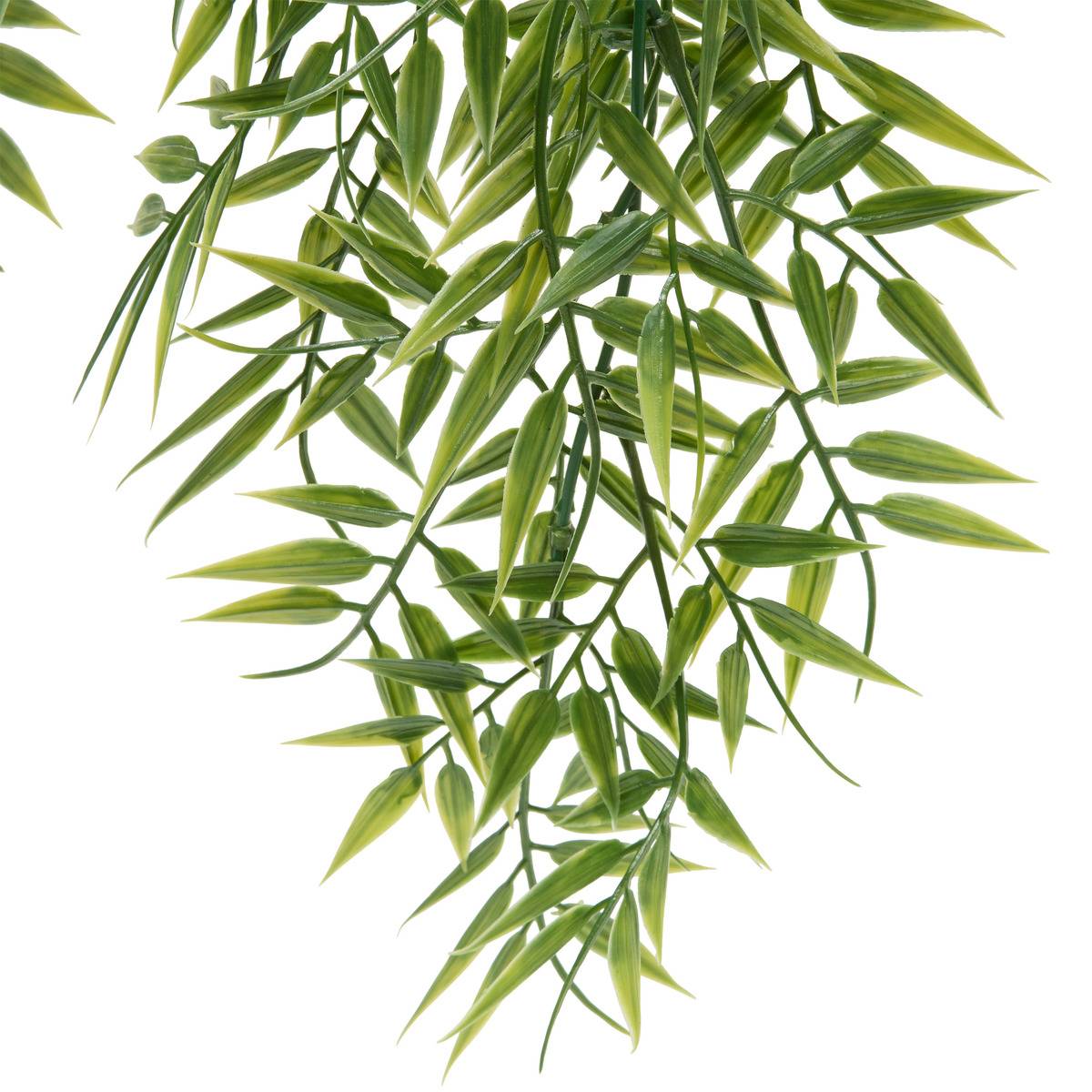 Plante suspendue LIORA vert, ATMOSPHERA