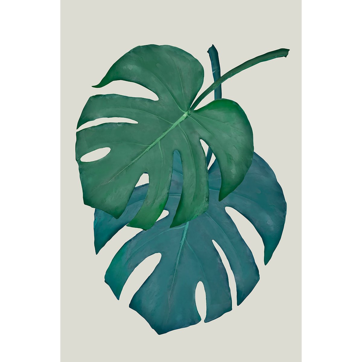 Tableau Monstera turquoise tableau alu dibond, HEXOA