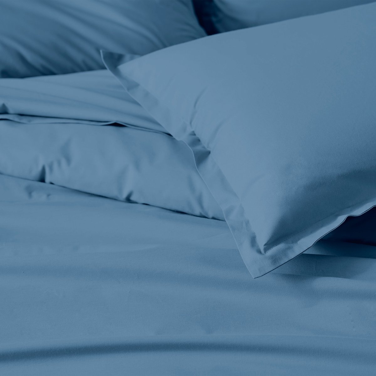 Drap-housse percale de coton uni bonnet 30 cm ardoise, TRADILINGE