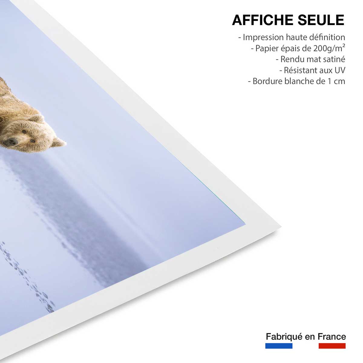 Affiche la marche de l'Ours affiche seule, HEXOA